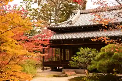 天授庵(京都府)