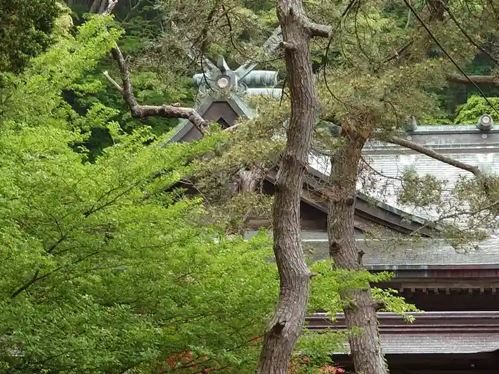 函館八幡宮の自然