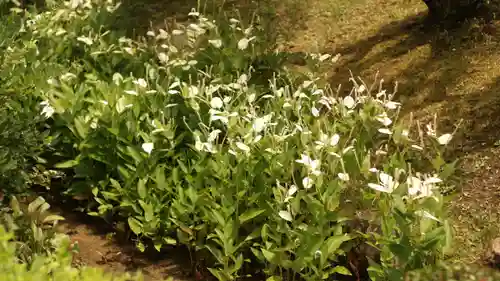 平安神宮(京都府)