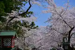 彌彦神社(新潟県)