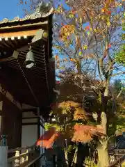 円勝寺(東京都)