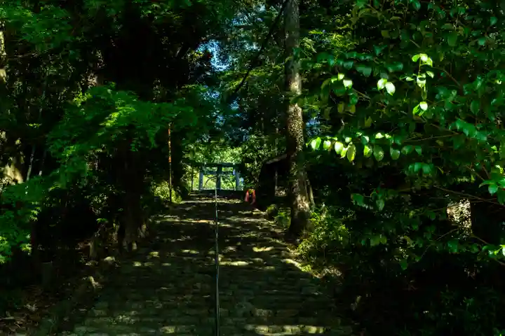 龍尾神社(静岡県)