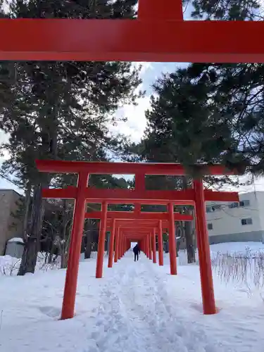 札幌伏見稲荷神社の鳥居