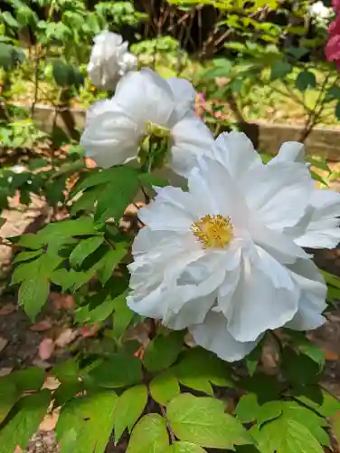 乙訓寺(京都府)