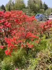 天王神社の自然