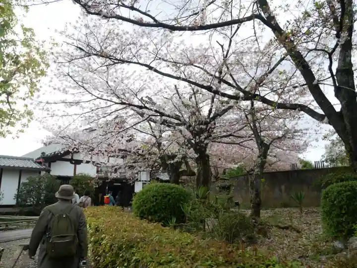 上品蓮台寺の自然
