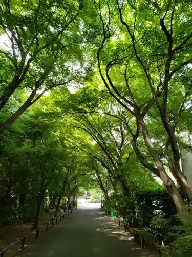高円寺のその他建物