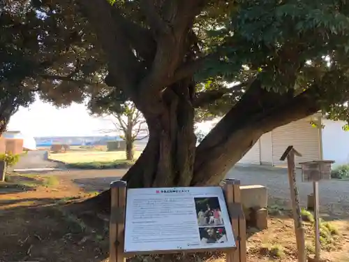 多気比売神社の歴史