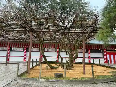 笠間稲荷神社の{uncategorized: "未分類", other: "その他", undefined: "問題あり", building: "その他建物", grave: "お墓", sacred_gate: "鳥居", guardian: "狛犬", statue: "像", buddha: "仏像", history: "歴史", nature: "自然", garden: "庭園", animal: "動物", pagoda: "塔", temizu: "手水舎", mountain_gate: "山門・神門", sanctuary: "本殿・本堂", subordinate: "末社・摂社", art: "芸術", scenery: "景色", jizo: "地蔵", ema: "絵馬", goshuin: "御朱印", omikuji: "おみくじ", items: "授与品その他", amulet: "お守り", goshuincho: "御朱印帳", eats: "食事", festival: "お祭り", votive_dance: "神楽", shichigosan: "七五三参", wedding: "結婚式", experience: "体験その他", initially: "初詣", around: "周辺", anti_infection: "感染症対策"}