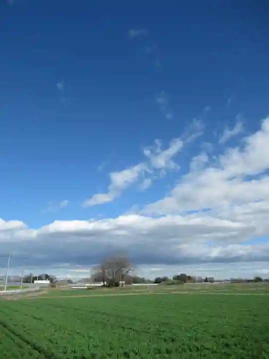 神明神社(千葉県)