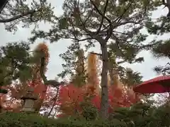 阿部野神社の自然