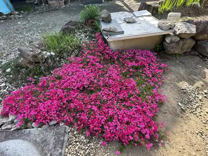 羽生天神社(宮城県)
