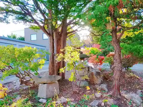 月寒神社の庭園