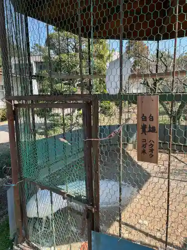進雄神社(群馬県)