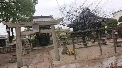 若松恵比須神社 の鳥居