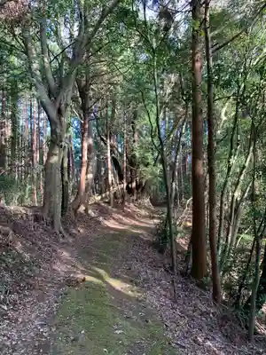 浅間神社の自然