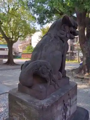 橘樹神社(神奈川県)
