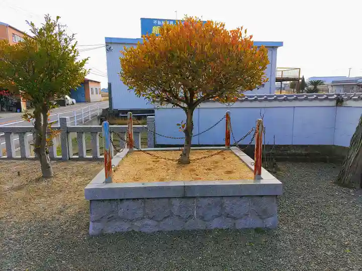 椿大神社の自然