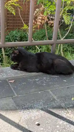 石切劔箭神社(大阪府)