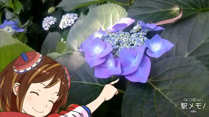 葛原岡神社の自然