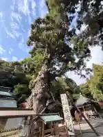 極楽寺(徳島県)