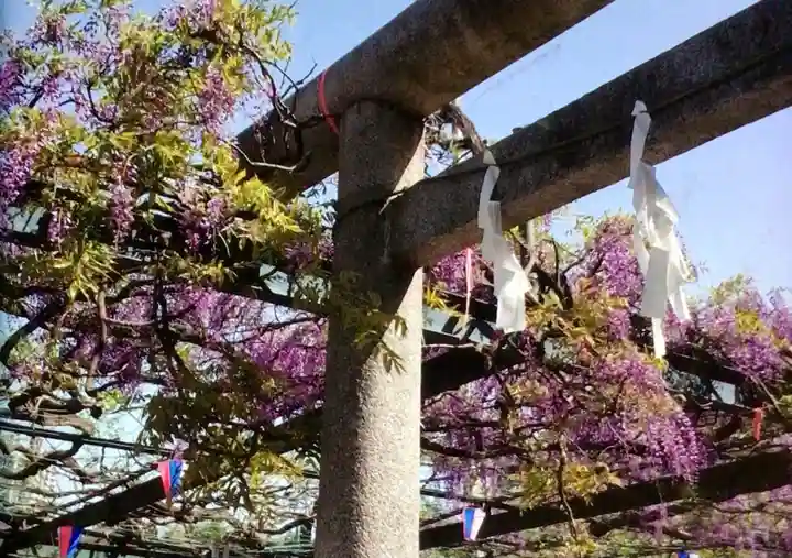 國領神社(東京都)