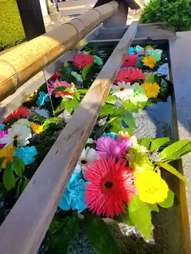 豊景神社の手水