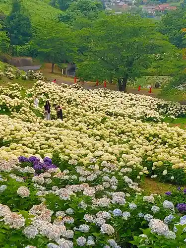 陽林寺(福島県)