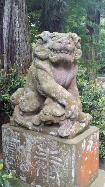 上諏訪神社の狛犬