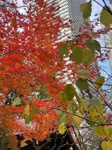 愛宕神社の自然