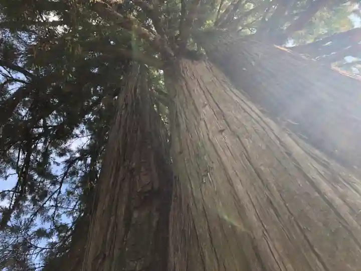 戸隠神社中社(長野県)