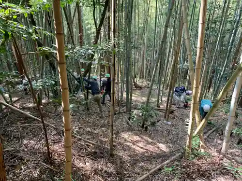 牟禮山観音禅寺の自然