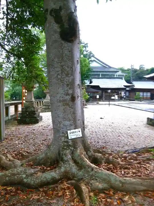 松江神社(島根県)