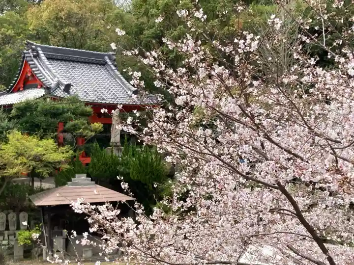 善光寺の{uncategorized: "未分類", other: "その他", undefined: "問題あり", building: "その他建物", grave: "お墓", sacred_gate: "鳥居", guardian: "狛犬", statue: "像", buddha: "仏像", history: "歴史", nature: "自然", garden: "庭園", animal: "動物", pagoda: "塔", temizu: "手水舎", mountain_gate: "山門・神門", sanctuary: "本殿・本堂", subordinate: "末社・摂社", art: "芸術", scenery: "景色", jizo: "地蔵", ema: "絵馬", goshuin: "御朱印", omikuji: "おみくじ", items: "授与品その他", amulet: "お守り", goshuincho: "御朱印帳", eats: "食事", festival: "お祭り", votive_dance: "神楽", shichigosan: "七五三参", wedding: "結婚式", experience: "体験その他", initially: "初詣", around: "周辺", anti_infection: "感染症対策"}