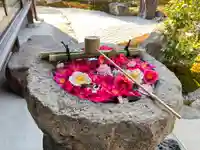 光源院(京都府)