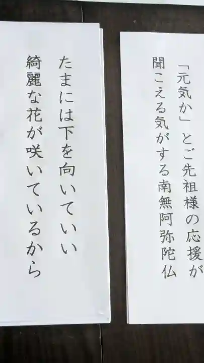 普元寺の{uncategorized: "未分類", other: "その他", undefined: "問題あり", building: "その他建物", grave: "お墓", sacred_gate: "鳥居", guardian: "狛犬", statue: "像", buddha: "仏像", history: "歴史", nature: "自然", garden: "庭園", animal: "動物", pagoda: "塔", temizu: "手水舎", mountain_gate: "山門・神門", sanctuary: "本殿・本堂", subordinate: "末社・摂社", art: "芸術", scenery: "景色", jizo: "地蔵", ema: "絵馬", goshuin: "御朱印", omikuji: "おみくじ", items: "授与品その他", amulet: "お守り", goshuincho: "御朱印帳", eats: "食事", festival: "お祭り", votive_dance: "神楽", shichigosan: "七五三参", wedding: "結婚式", experience: "体験その他", initially: "初詣", around: "周辺", anti_infection: "感染症対策"}