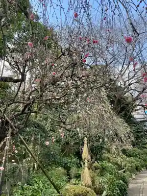 無量寺の{uncategorized: "未分類", other: "その他", undefined: "問題あり", building: "その他建物", grave: "お墓", sacred_gate: "鳥居", guardian: "狛犬", statue: "像", buddha: "仏像", history: "歴史", nature: "自然", garden: "庭園", animal: "動物", pagoda: "塔", temizu: "手水舎", mountain_gate: "山門・神門", sanctuary: "本殿・本堂", subordinate: "末社・摂社", art: "芸術", scenery: "景色", jizo: "地蔵", ema: "絵馬", goshuin: "御朱印", omikuji: "おみくじ", items: "授与品その他", amulet: "お守り", goshuincho: "御朱印帳", eats: "食事", festival: "お祭り", votive_dance: "神楽", shichigosan: "七五三参", wedding: "結婚式", experience: "体験その他", initially: "初詣", around: "周辺", anti_infection: "感染症対策"}