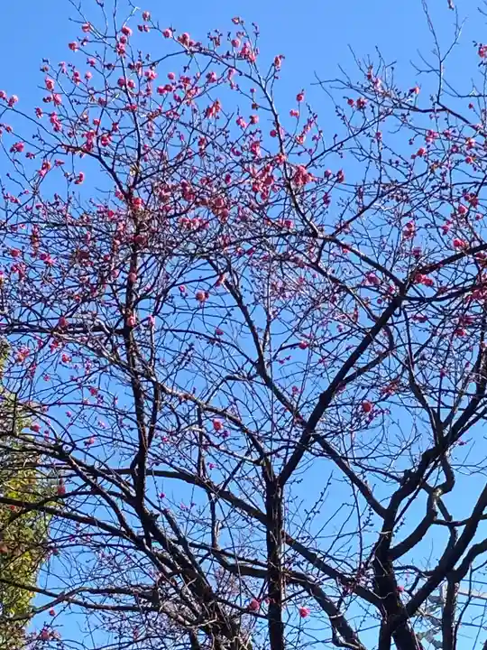 留魂祠(西郷隆盛碑)(東京都)