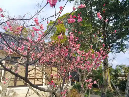 小松天満宮の自然