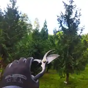 七重浜海津見神社(北海道)(2025年09月26日(金) 09時18分38秒投稿)