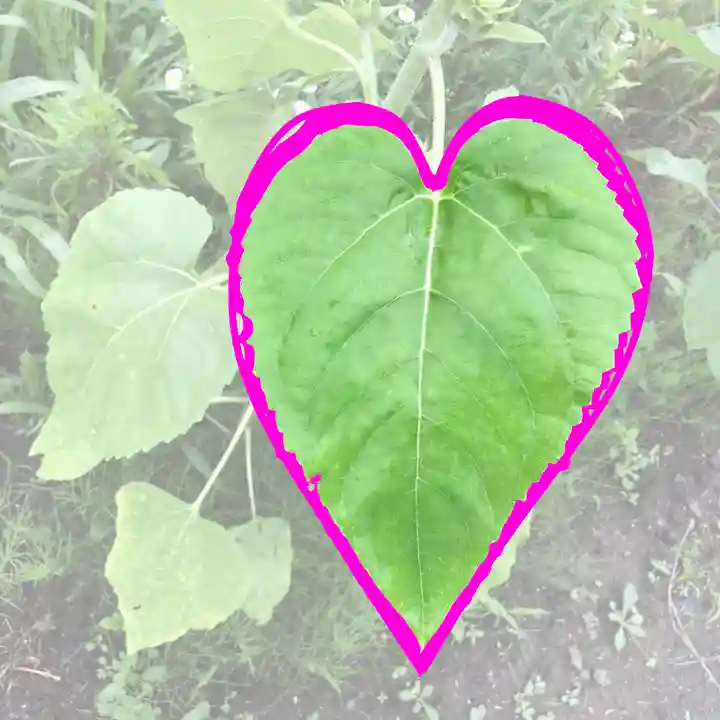 高司神社〜むすびの神の鎮まる社〜(福島県)