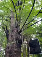 王子神社(東京都)