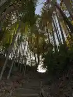 皇産霊神社の自然