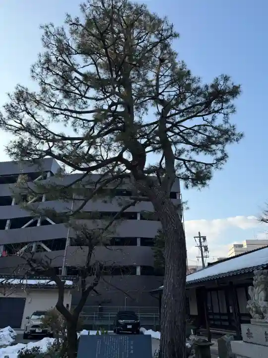 平岡野神社の{uncategorized: "未分類", other: "その他", undefined: "問題あり", building: "その他建物", grave: "お墓", sacred_gate: "鳥居", guardian: "狛犬", statue: "像", buddha: "仏像", history: "歴史", nature: "自然", garden: "庭園", animal: "動物", pagoda: "塔", temizu: "手水舎", mountain_gate: "山門・神門", sanctuary: "本殿・本堂", subordinate: "末社・摂社", art: "芸術", scenery: "景色", jizo: "地蔵", ema: "絵馬", goshuin: "御朱印", omikuji: "おみくじ", items: "授与品その他", amulet: "お守り", goshuincho: "御朱印帳", eats: "食事", festival: "お祭り", votive_dance: "神楽", shichigosan: "七五三参", wedding: "結婚式", experience: "体験その他", initially: "初詣", around: "周辺", anti_infection: "感染症対策"}