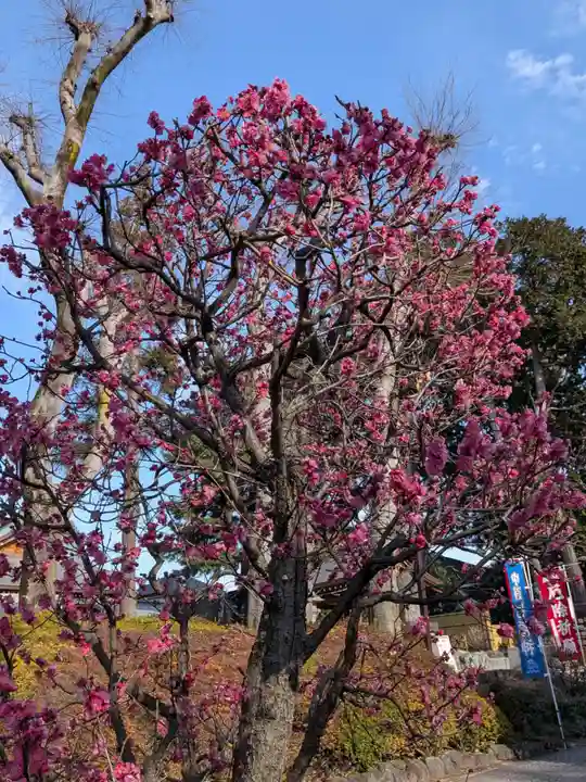 中野沼袋氷川神社(東京都)