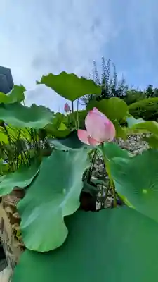 久遠寺(山梨県)