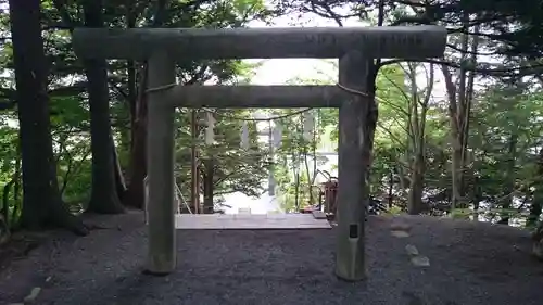 千歳神社の鳥居