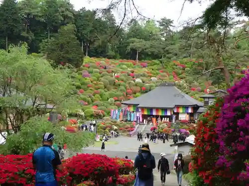 塩船観音寺の自然