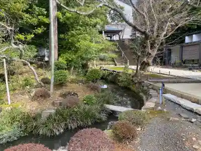 松尾寺の{uncategorized: "未分類", other: "その他", undefined: "問題あり", building: "その他建物", grave: "お墓", sacred_gate: "鳥居", guardian: "狛犬", statue: "像", buddha: "仏像", history: "歴史", nature: "自然", garden: "庭園", animal: "動物", pagoda: "塔", temizu: "手水舎", mountain_gate: "山門・神門", sanctuary: "本殿・本堂", subordinate: "末社・摂社", art: "芸術", scenery: "景色", jizo: "地蔵", ema: "絵馬", goshuin: "御朱印", omikuji: "おみくじ", items: "授与品その他", amulet: "お守り", goshuincho: "御朱印帳", eats: "食事", festival: "お祭り", votive_dance: "神楽", shichigosan: "七五三参", wedding: "結婚式", experience: "体験その他", initially: "初詣", around: "周辺", anti_infection: "感染症対策"}