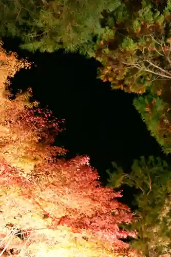 宝厳院(京都府)